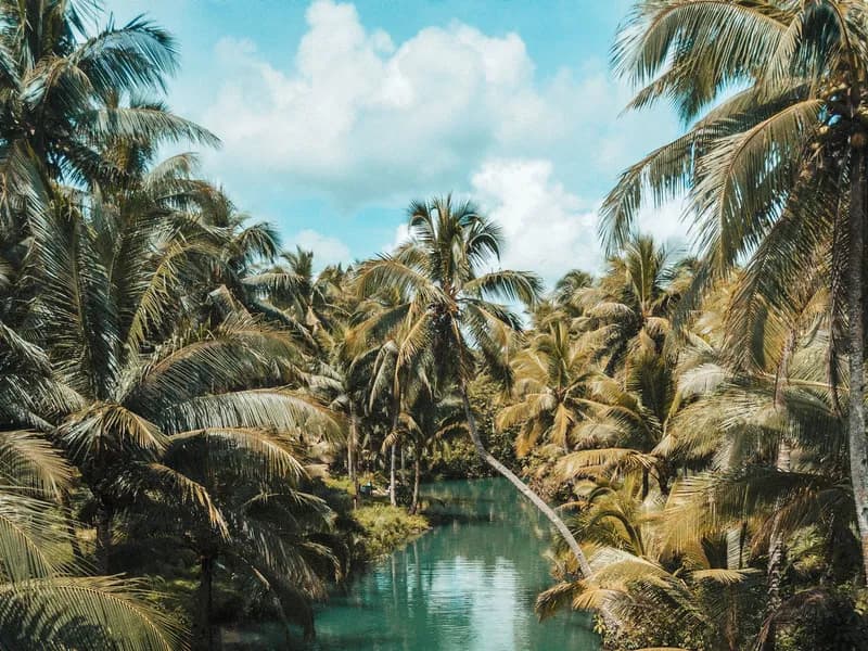 Bali: Private Ubud Highlights Tour with Customized Tour