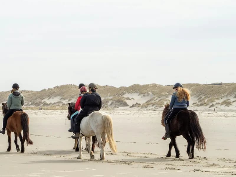 Bali: Sunrise Horse Riding Sanur Beach Experience