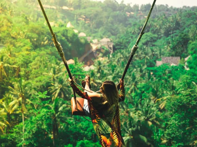 Bali: Swing with Falls, Rice Terrace, & Monkey Forest Option