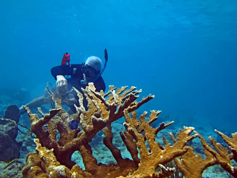 From Bali: Snorkeling 3 Spots with GoPro & West Penida Tour