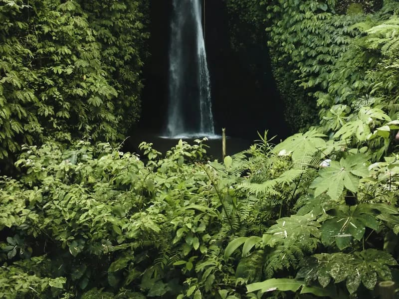Taman Beji Griya Waterfall: Holy Bathing/Soul Retreat Ritual