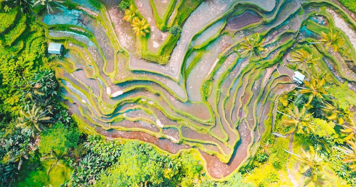 Best Things to Do in Bali | Complete Guide